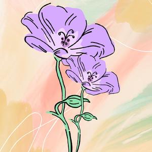 给妈妈的一封信