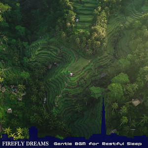 Slumbering Echoes of Midnight