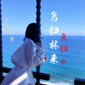 鸟归林来鱼归水 伴奏