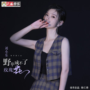 野草成不了玫瑰花