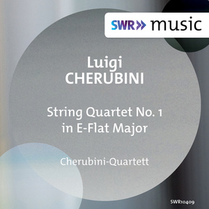String Quartet No. 1 in E-Flat Major:I. Adagio - Allegro agitato