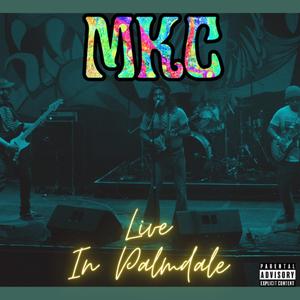 Give Yourself To Rock N Roll (Live at Transplants Brewing Company)