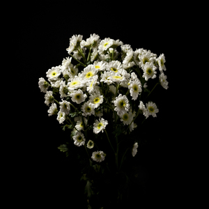 사랑이 있었다면