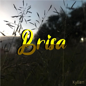 Brisa