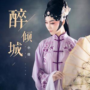 醉倾城 (女声DJ版)