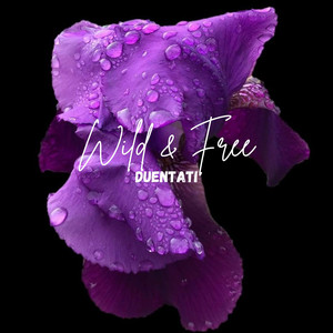 Wild & Free