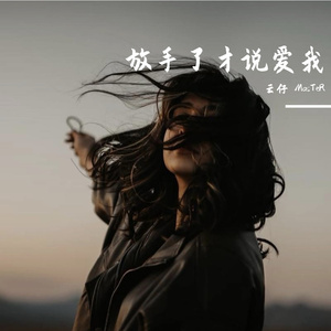 放手了才说爱我