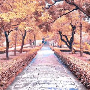 有多荒唐（翻自 小月）