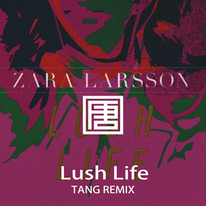 Zara Larsson -  Lush Life(TANG 唐 Remix)
