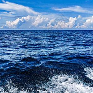 为你上岸 其他慢走不送