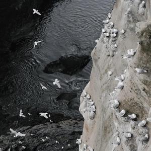 Shores (feat. Moonessa) Slowed