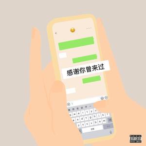 Ayo97-感谢你曾来过（Wla remix）