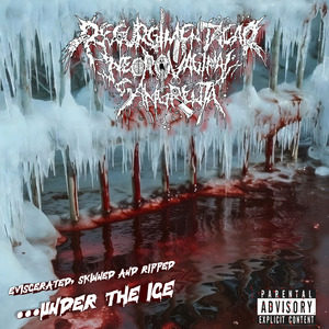 Gore Metal Diabetic Amputation