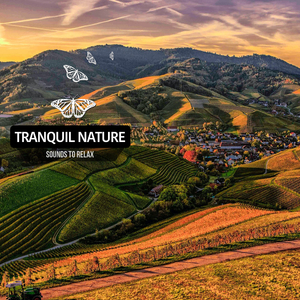 Brook Stream In June