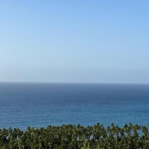 con páginas de llantos