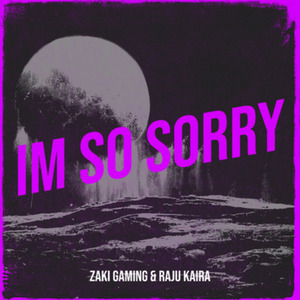 Im so Sorry