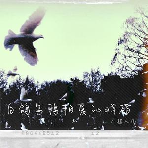 白鸽乌鸦相爱的戏码