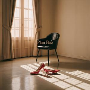 Plan Bae