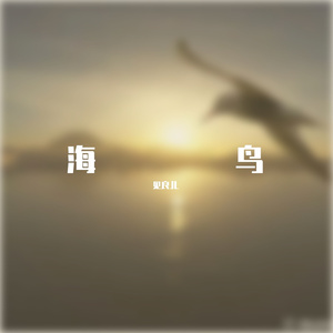 海鸟