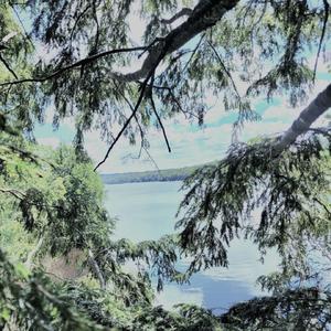 Embedded in Crystalline Ash (Aeroconcrete)