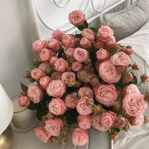 Danger in Loving You