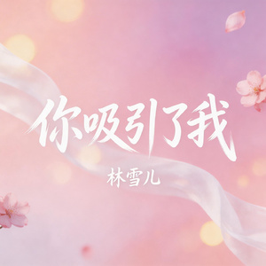 你吸引了我