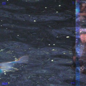 冬日的采访 其二