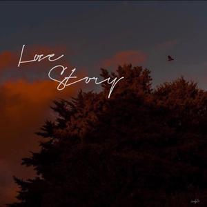 Dr.Rick-Love Story（Lovely Ds（LD） remix）