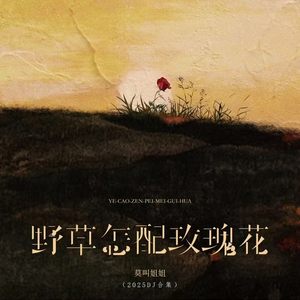 野草怎配玫瑰花 (DJ西米版)