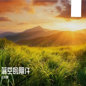 落空的期许