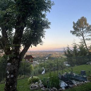 beneath unsaid things