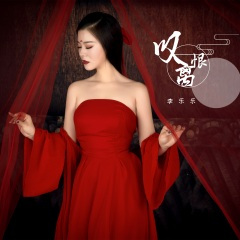 叹离恨 (DJ阿卓版)