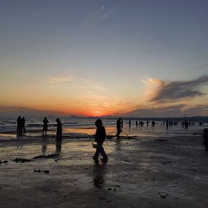 向山而行_青春版.wav