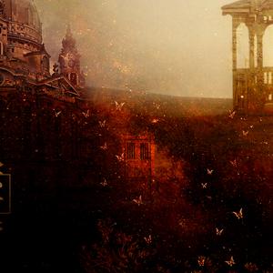 造梦者从不言梦