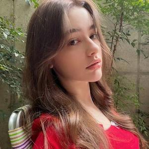 平凡之路写尽了不平凡