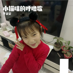 小猫咪的呼噜歌