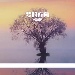 梦的方向 伴奏