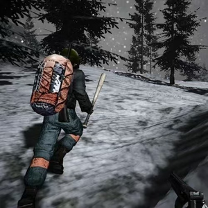 Survival (Выживание)