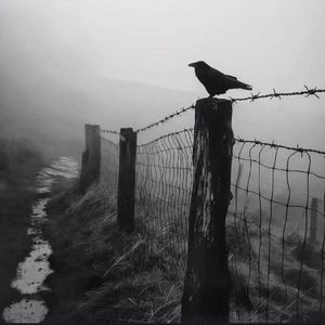 【Free】“反对”x钢琴孟菲斯Type Beat