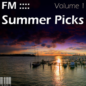 Summer Picks - DJ Mix (Continuous Mix)