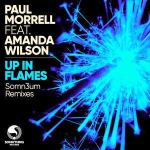 Up In Flames (feat. Amanda Wilson) [Somn3um Radio Edit]