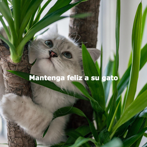 Sultry Chill Out Saturday