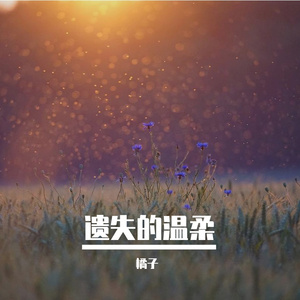 遗失的温柔