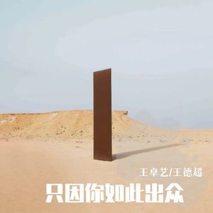 只因你如此出众