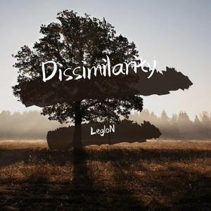 "Dissimilarity"不一样