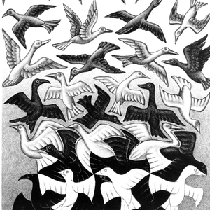 只能送你一场雨