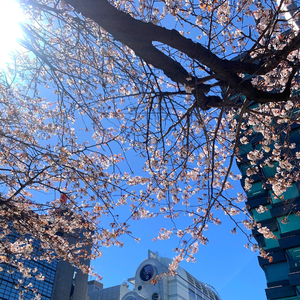 A9-thatgirl（A9 remix）