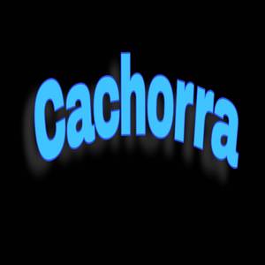 Cachorra