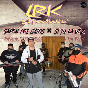 Enganchados (Sapen los gatos / Si tu la vez)