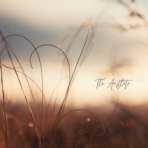 The Aesthete